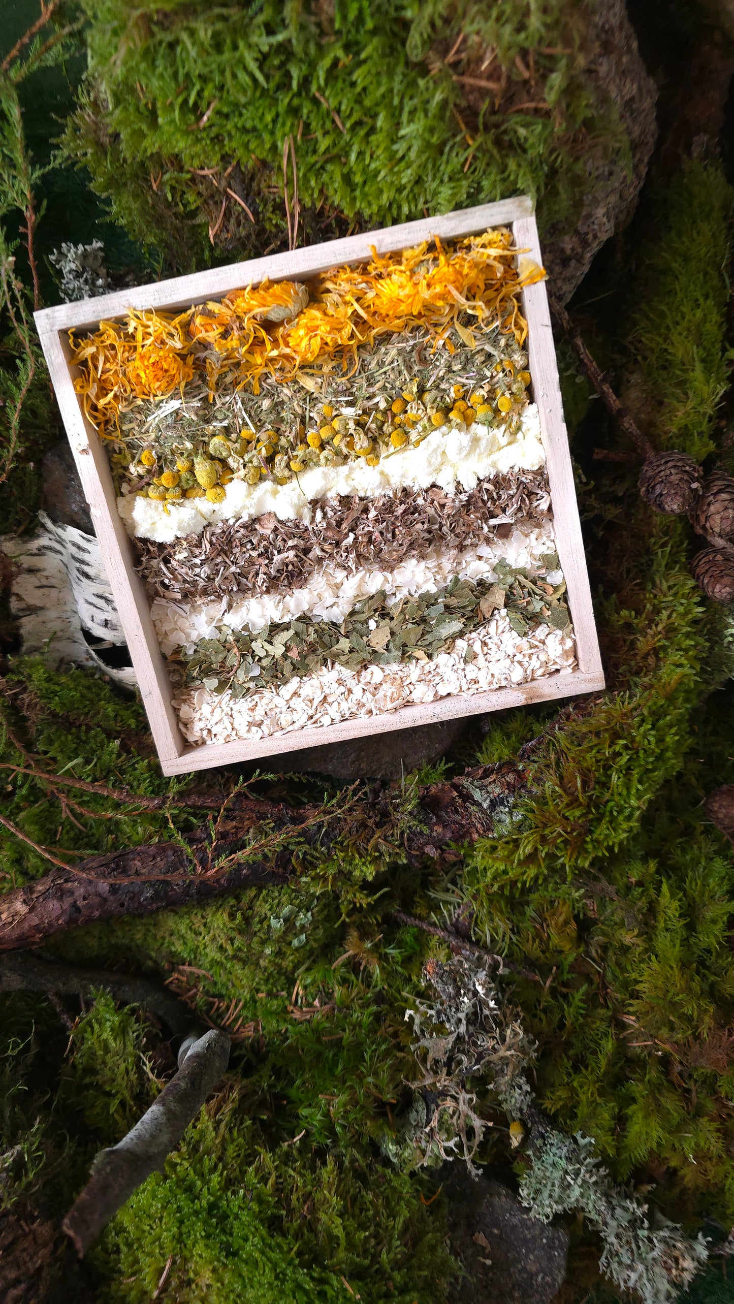 Magic Forest Bath Kit