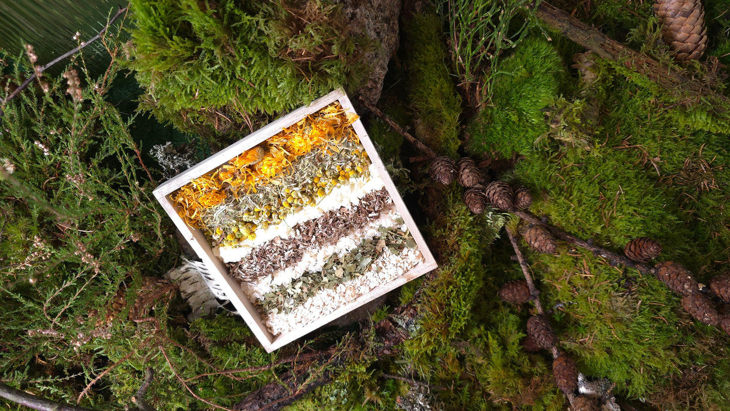 Magic Forest Bath Kit