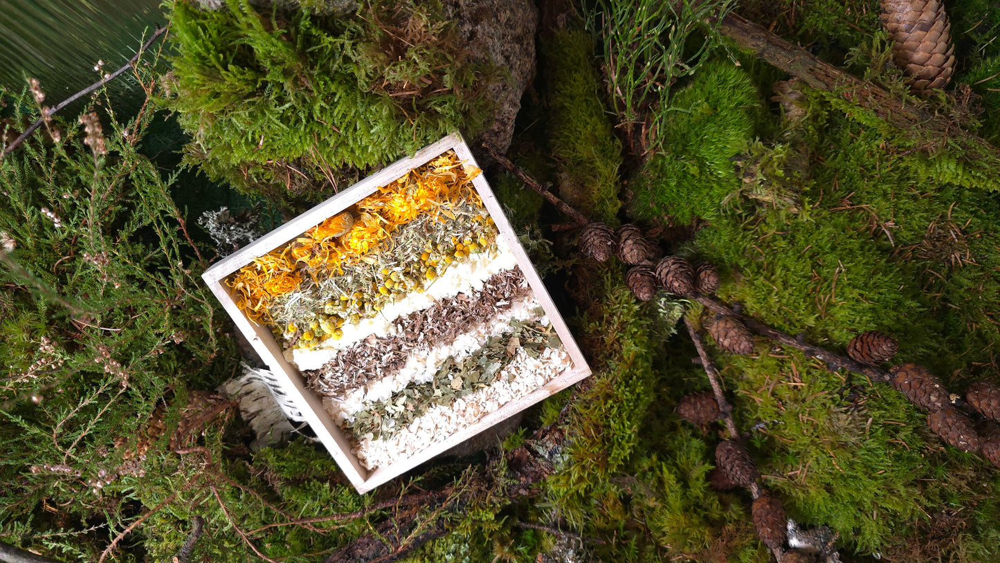 Magic Forest Bath Kit