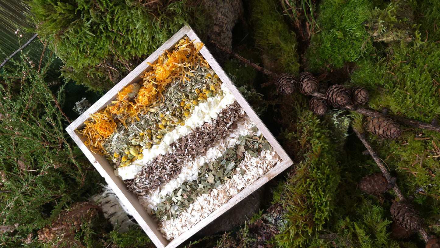 Magic Forest Bath Kit