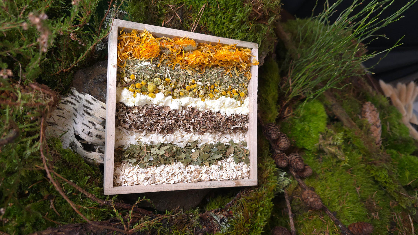 Magic Forest Bath Kit