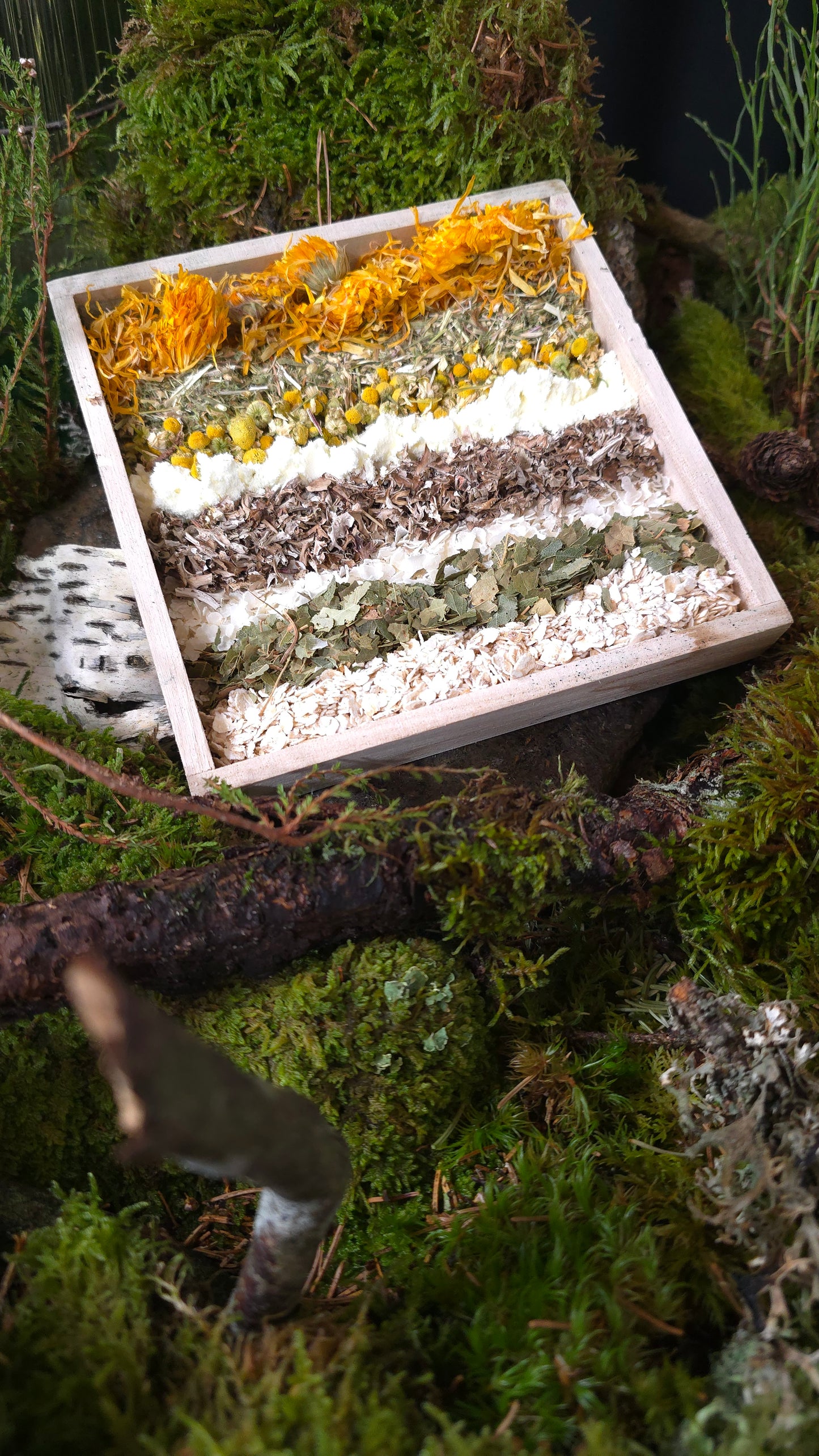 Magic Forest Bath Kit