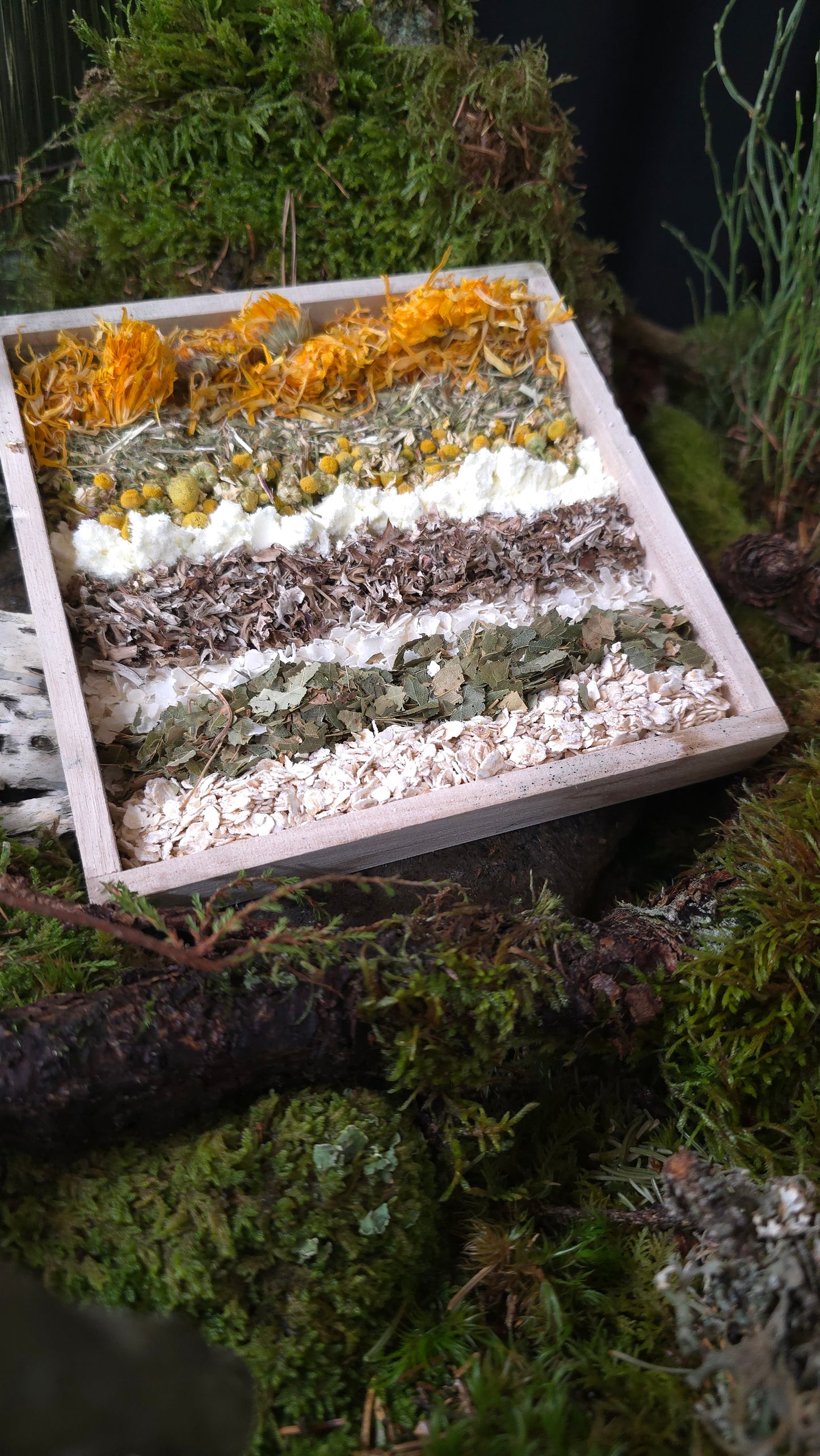 Magic Forest Bath Kit