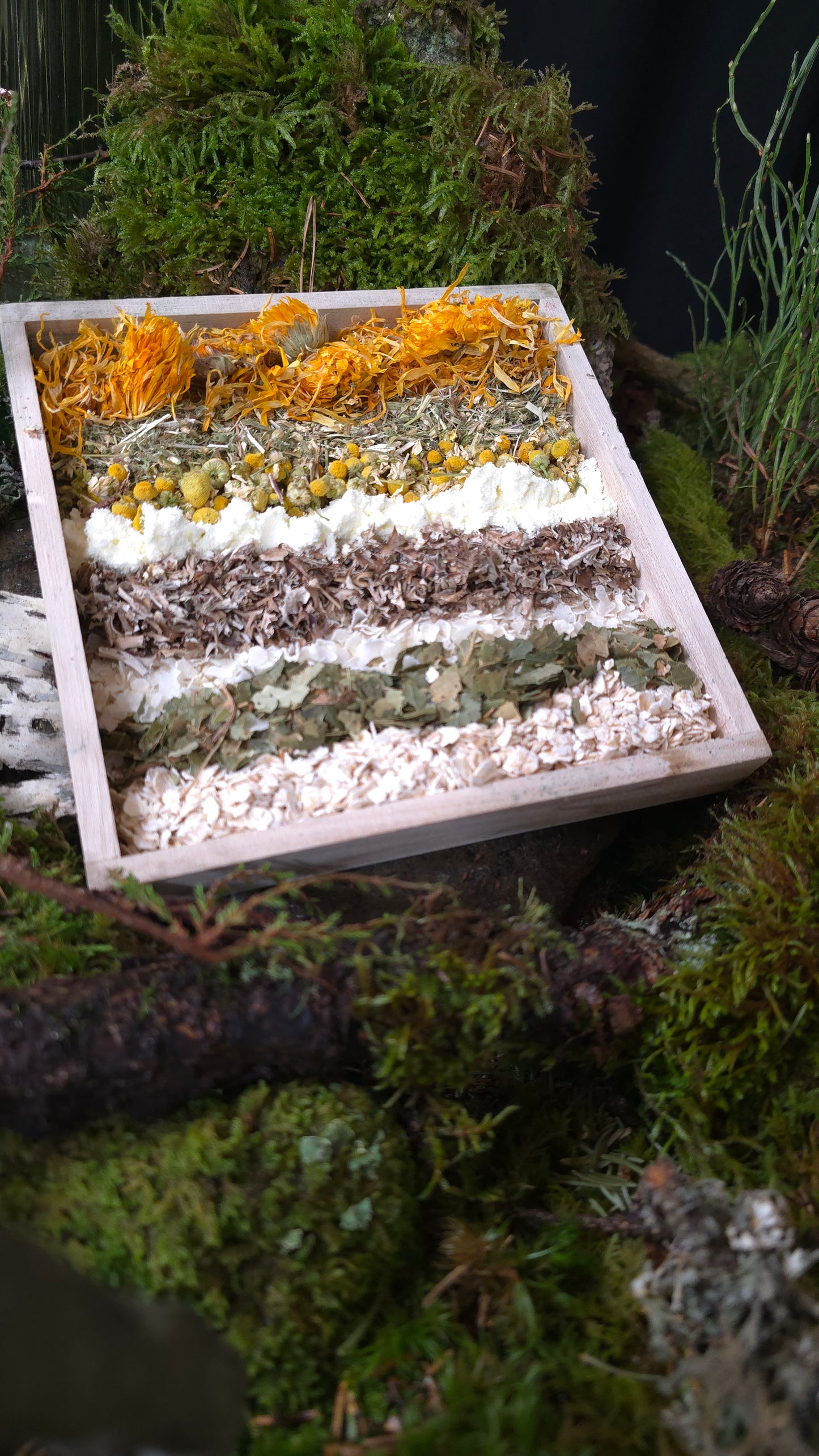 Magic Forest Bath Kit