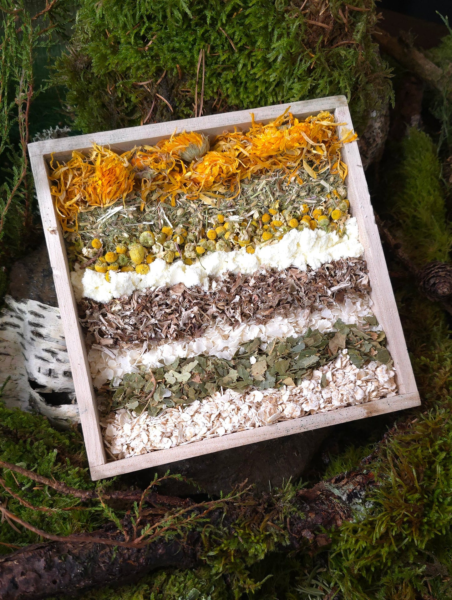 Magic Forest Bath Kit