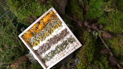 Magic Forest Bath Kit