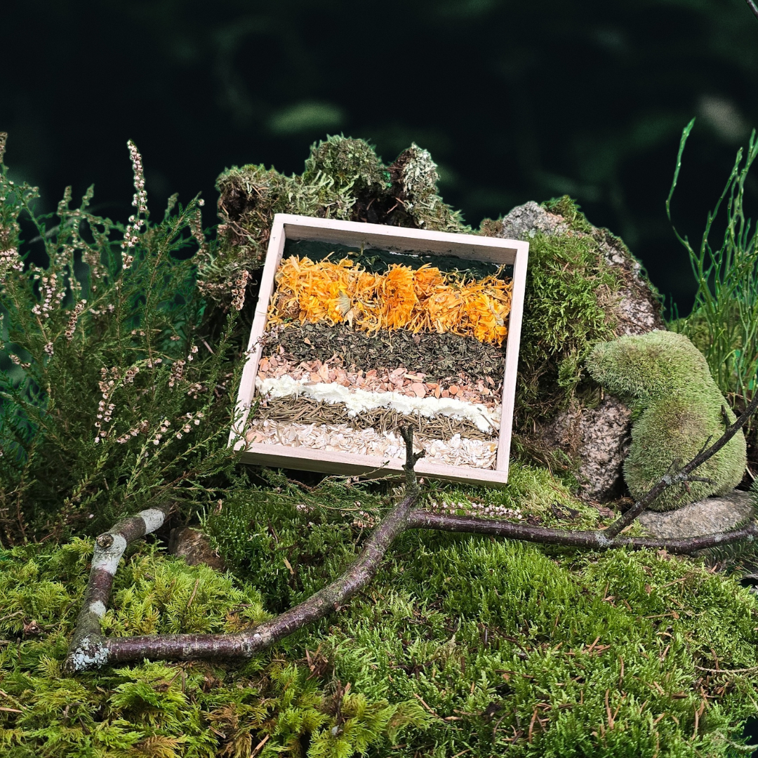 Magic Forest Bath Kit