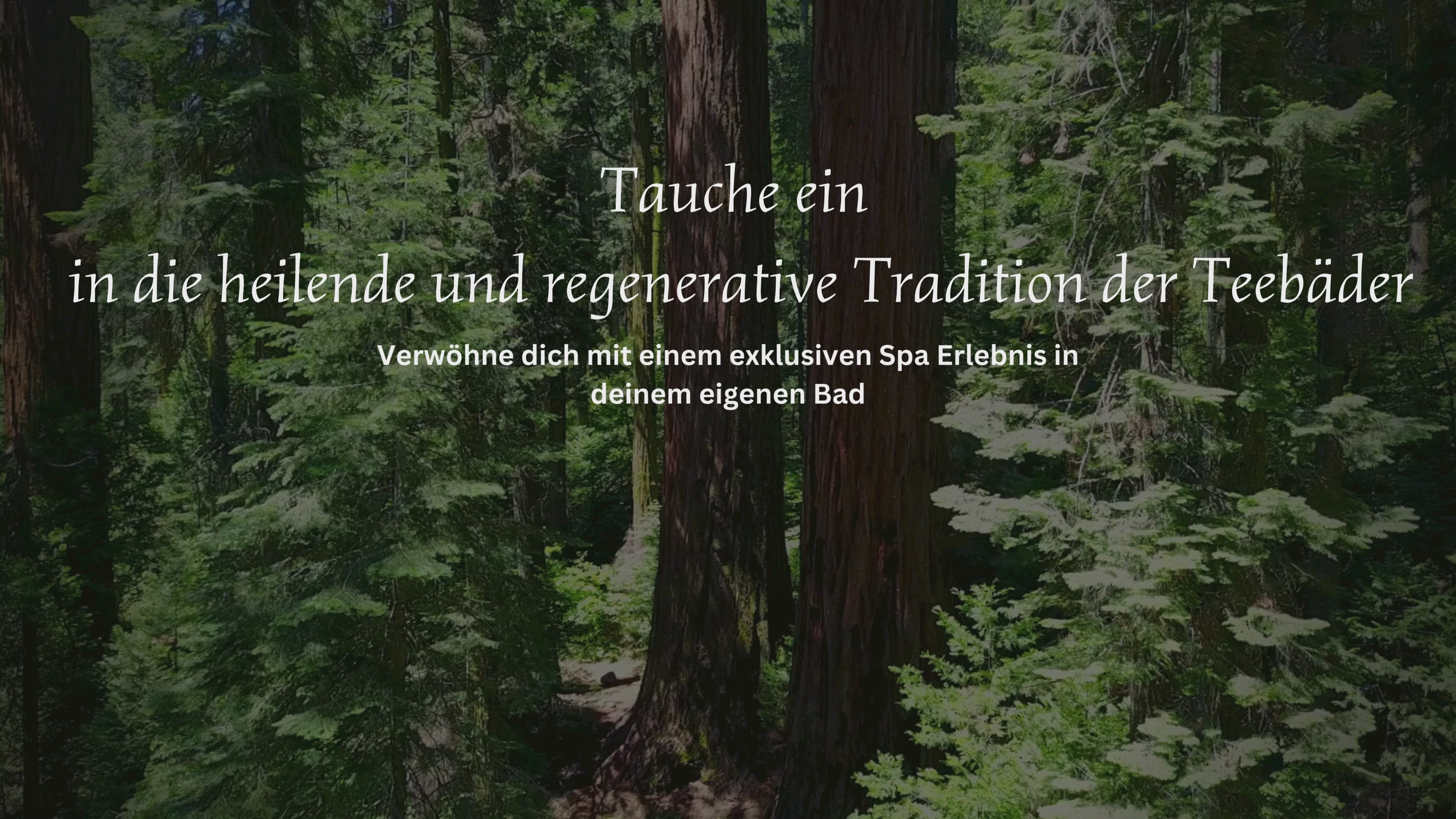 Video laden: 